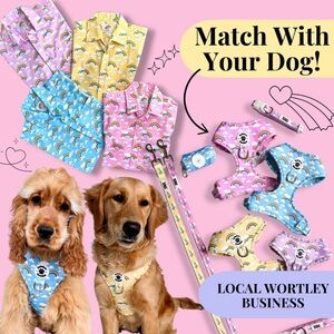 Rainbow Pastel Dog Harness and Leash Set